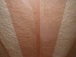 内部シート張り