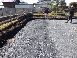 土壌（シロアリ）状況